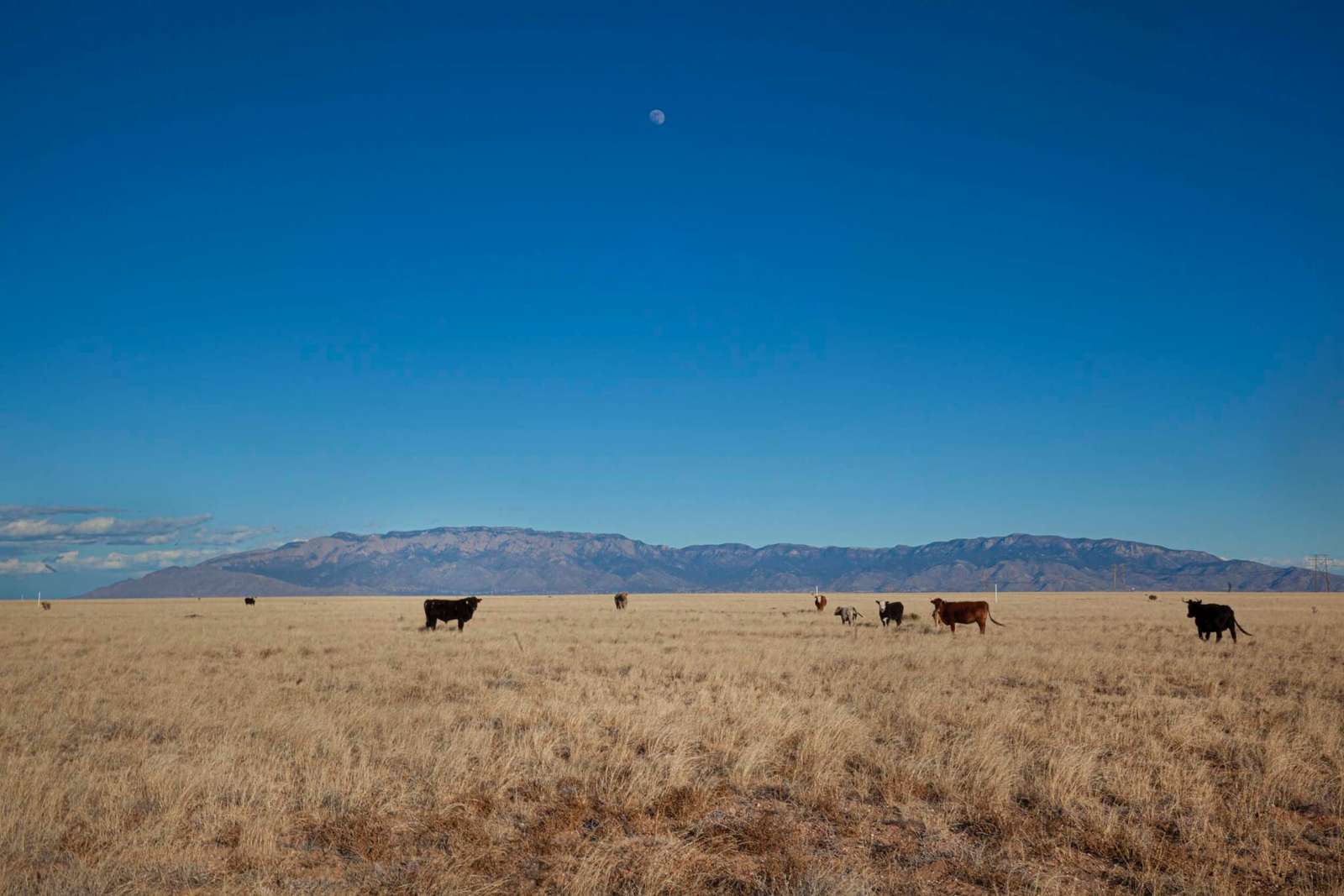 A case of mistaken identity leads artist to commission conceptual bank designs