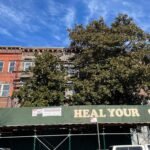 A beloved Bed-Stuy environmental organization is seeking emergency funds to repair its crumbling facade