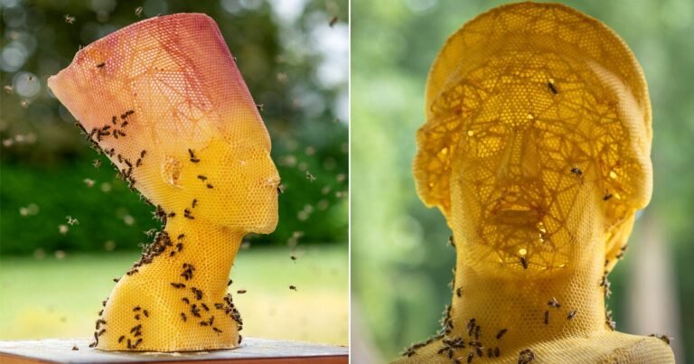 tomáš libertíny’s beeswax busts of hera and nefertiti translate vulnerability into strength