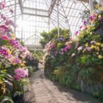 يُقام في حديقة Enid A. Haupt Conservatory في حدائق نيويورك النباتية ، يُعرض 