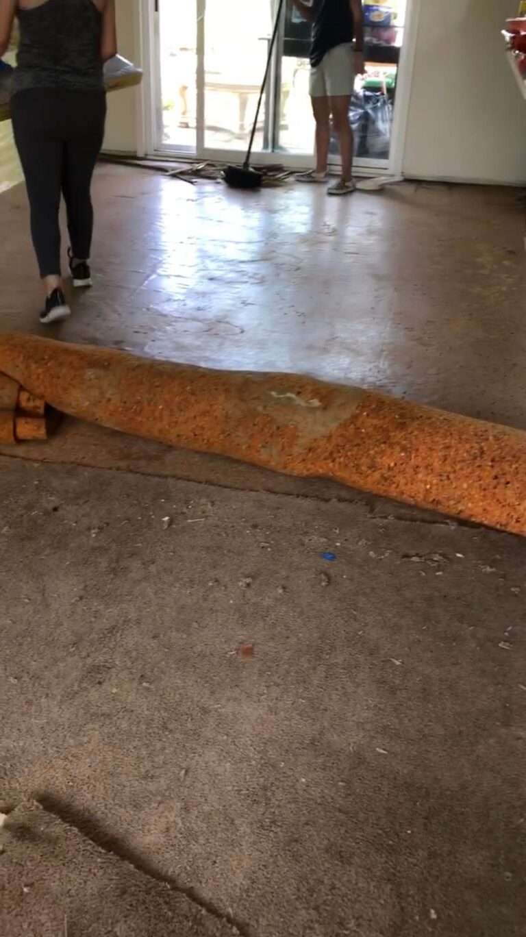 صورة لغرفة ممزقة الأرضية