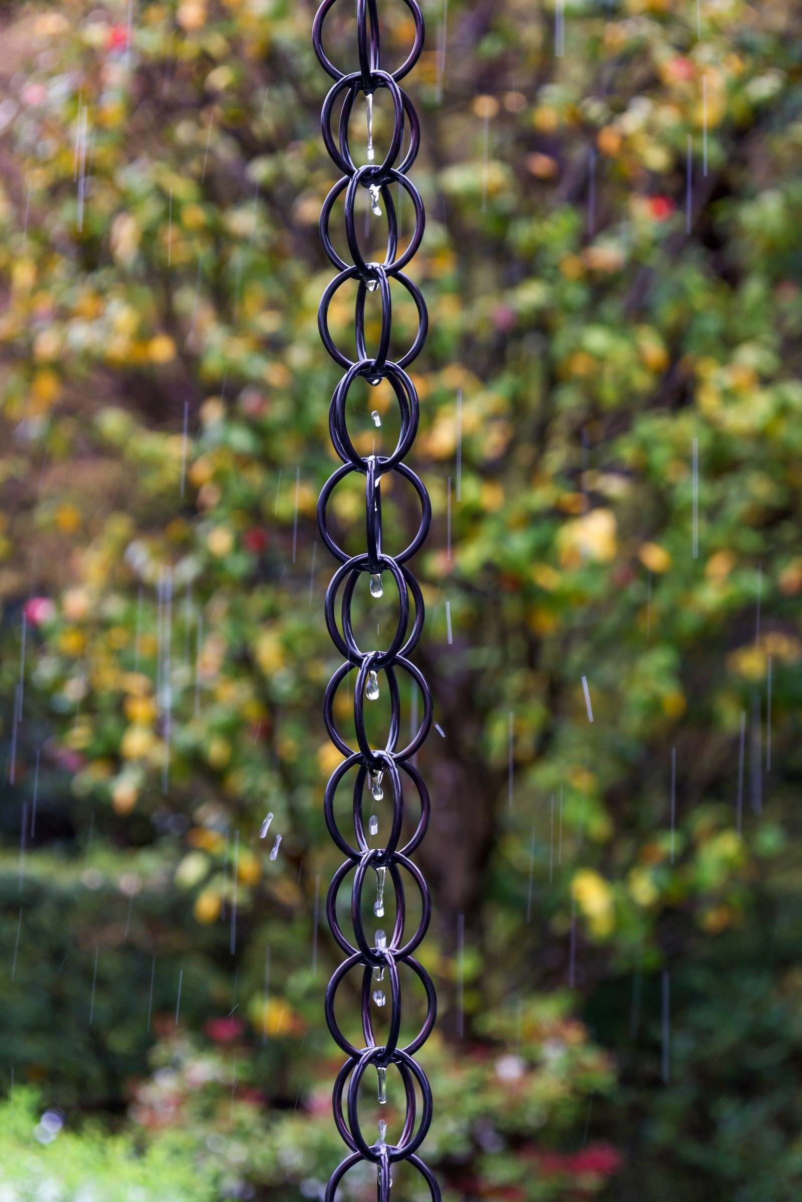 استخدم سلاسل المطر للمساعدة في تحويل مياه الأمطار.