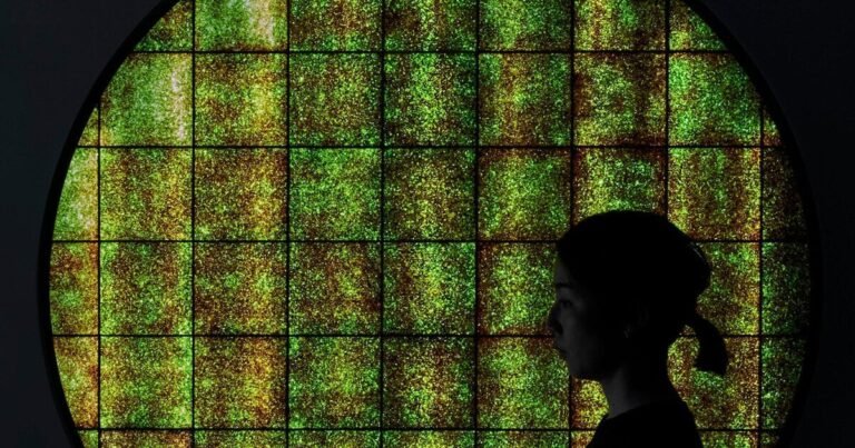 we+ revives contaminated seaweed as luminous installation using japanese handicrafts