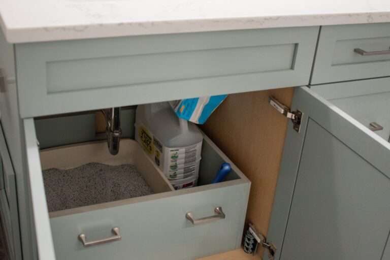 إذا كانت قطتك ستتبعك إلى الحمام ...