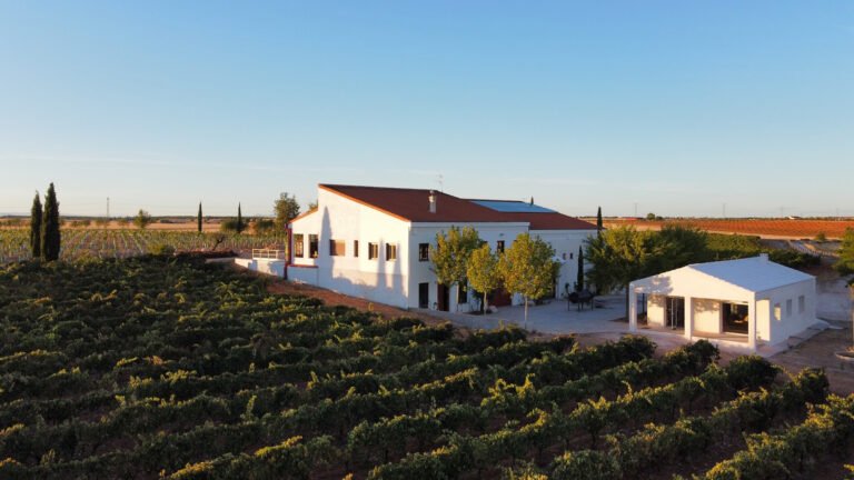 Primitive House / HANGHAR