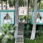 A Pair Of Wellness Cabins Perched Among The Trees