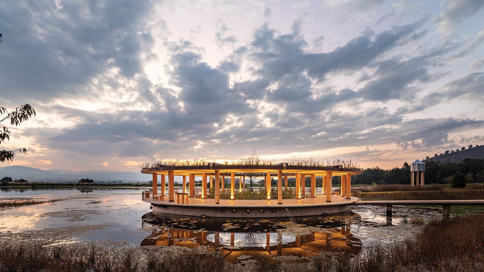 Mexican Studio Riparia Anchors a Revived Park with a Mass-Timber Pavilion Named For a Famed Amphibian
