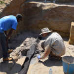 old wooden structure