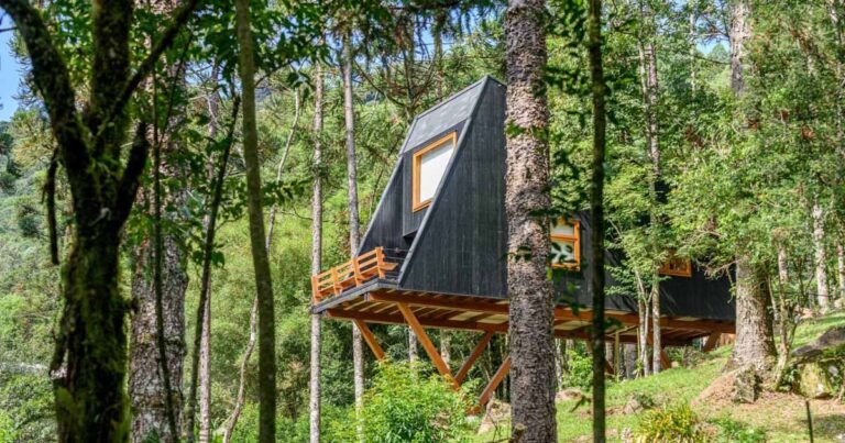 A Tree House That Feels Like It’s Floating Inside The Forest