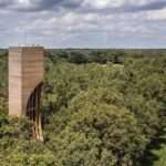 This Wood Watchtower Is Also A Home For Bats