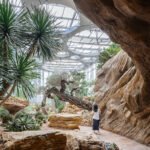 DMAA completes zero-energy greenhouse, bringing desert and tropical biomes to shanghai