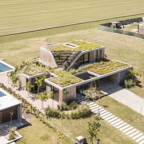 A modern home with a green roof also features a material palette of concrete and wood.