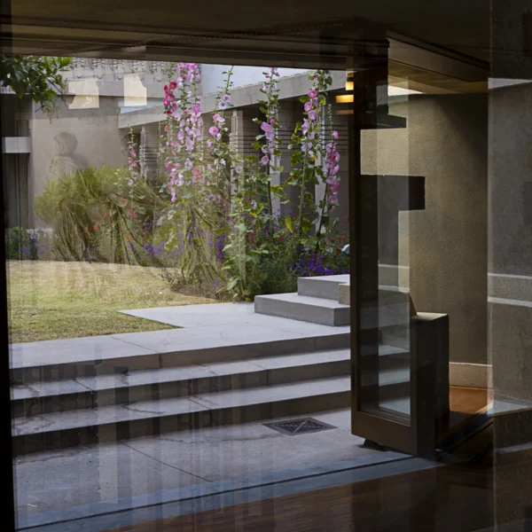 Janna Ireland Hollyhock