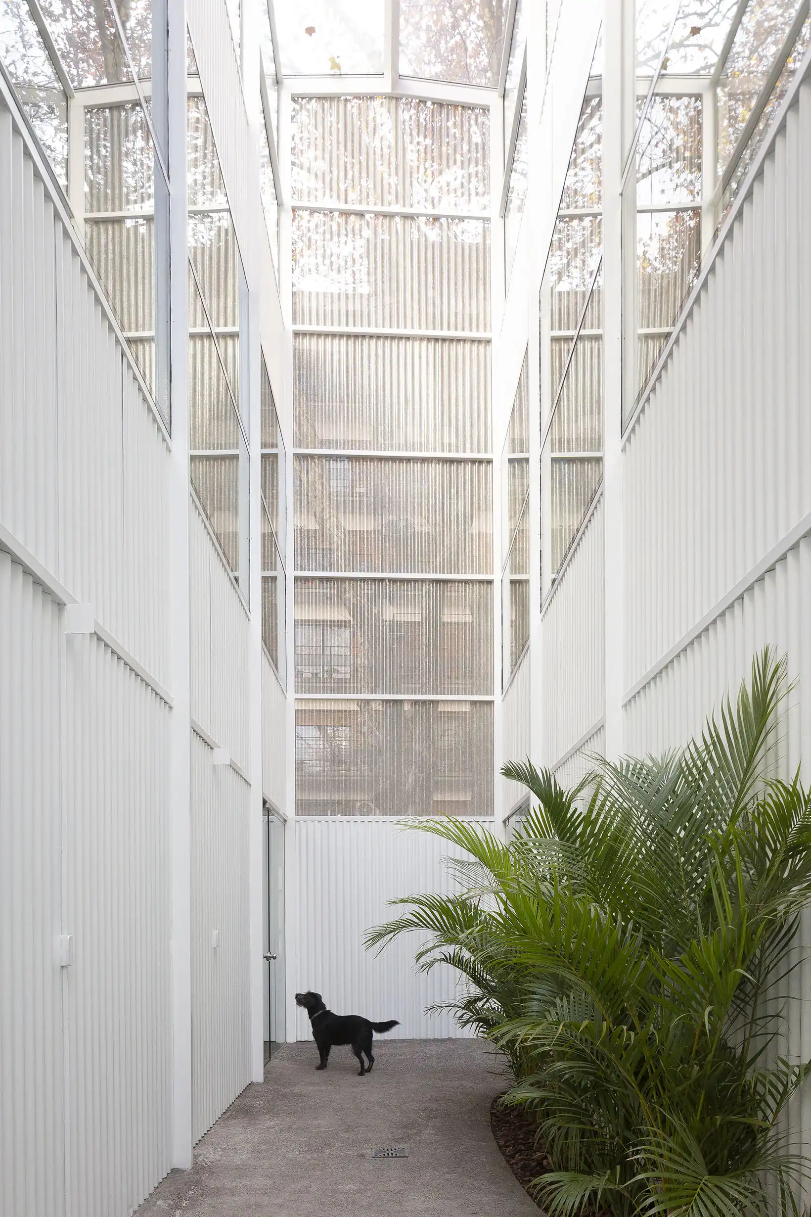 Clínica Veterinaria Guayaquil