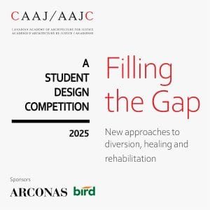 Filling-the-Gap-Flyer-Square.jpg Filling the Gap: Designing for new approaches to diversion, healing and rehabilitation