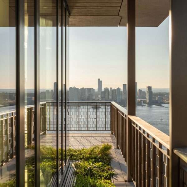 Concrete Jungles, Empty Skies: How Smarter Design Can Bring Wildlife Back to Cities