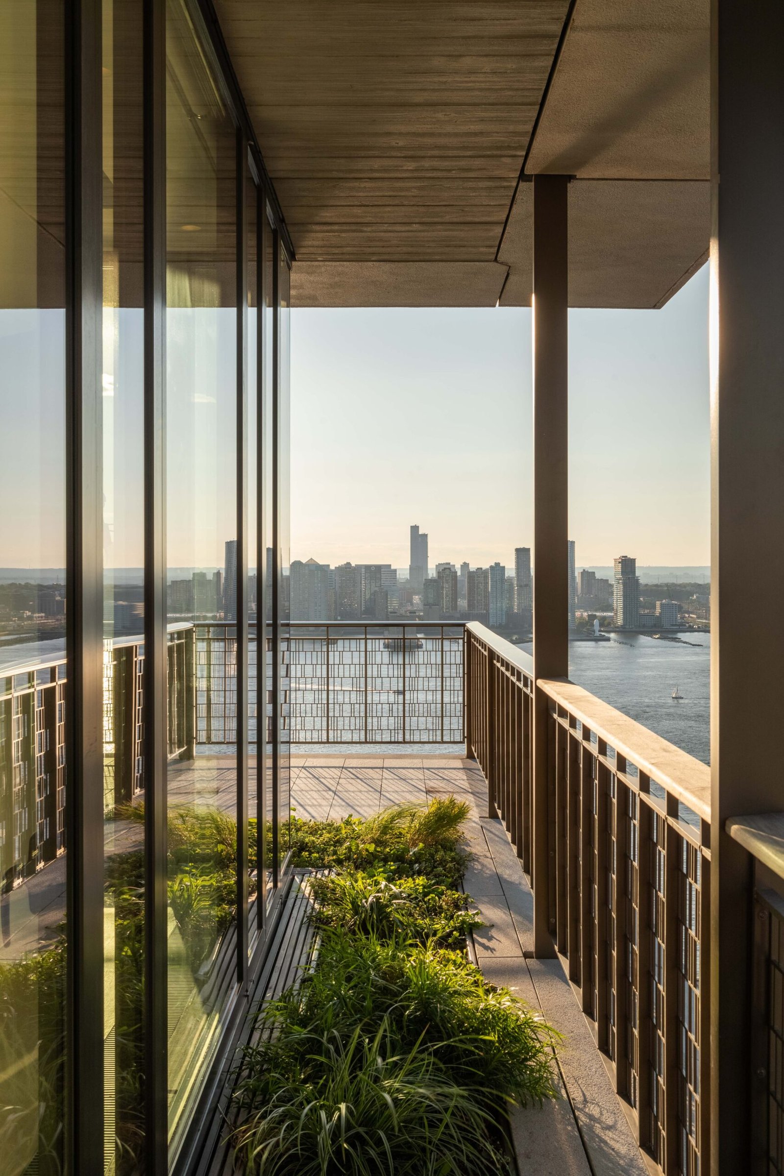 Concrete Jungles, Empty Skies: How Smarter Design Can Bring Wildlife Back to Cities