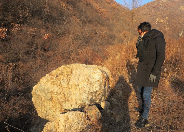 Beijing Xitan Hotel Landscape Design / Nikken Sekkei - Exterior Photography