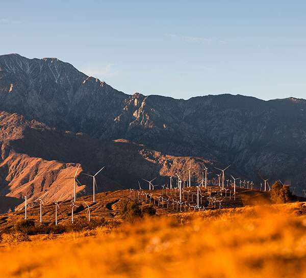 desert X 2025 opens with artworks that speak to california's vast coachella valley