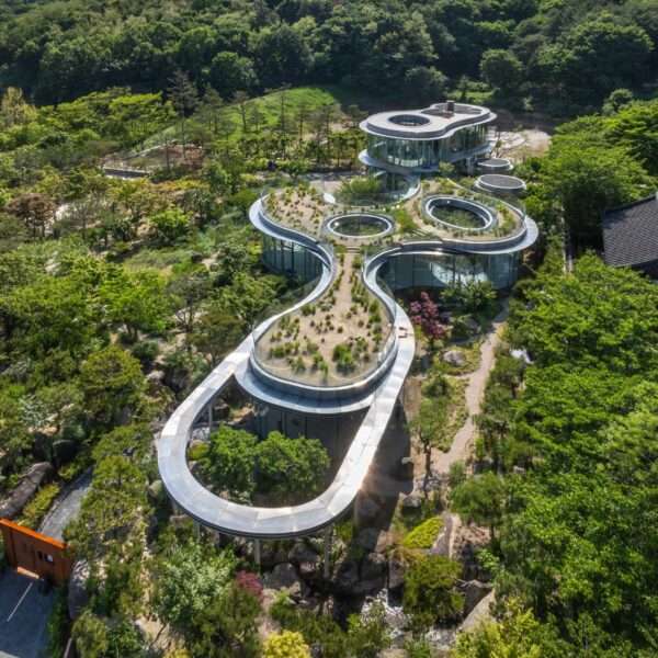 A modern cafe in South Korea, with social spaces and a green roof, was inspired by a walk in the forest.