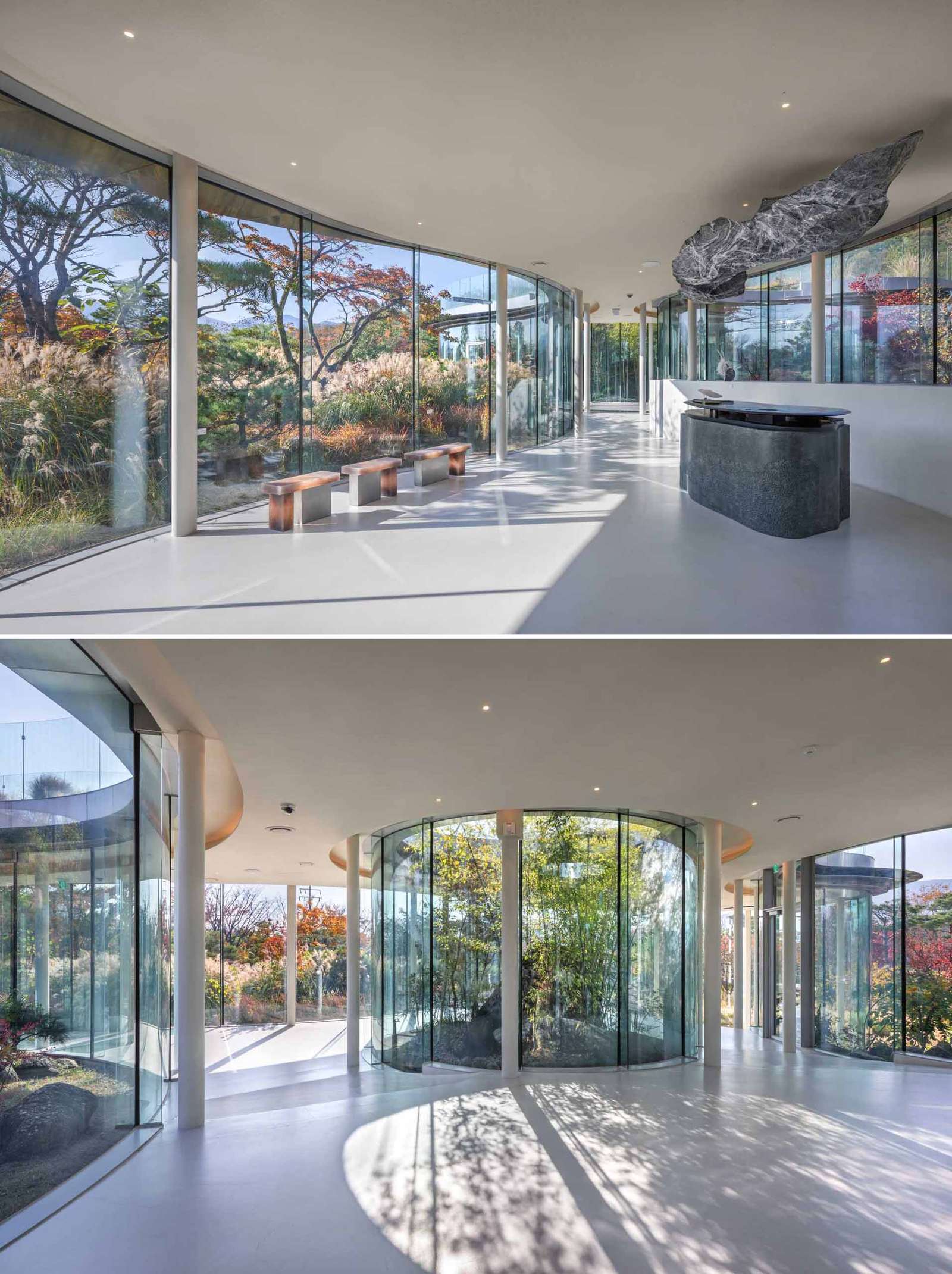 A modern cafe in South Korea, with social spaces and a green roof, was inspired by a walk in the forest.