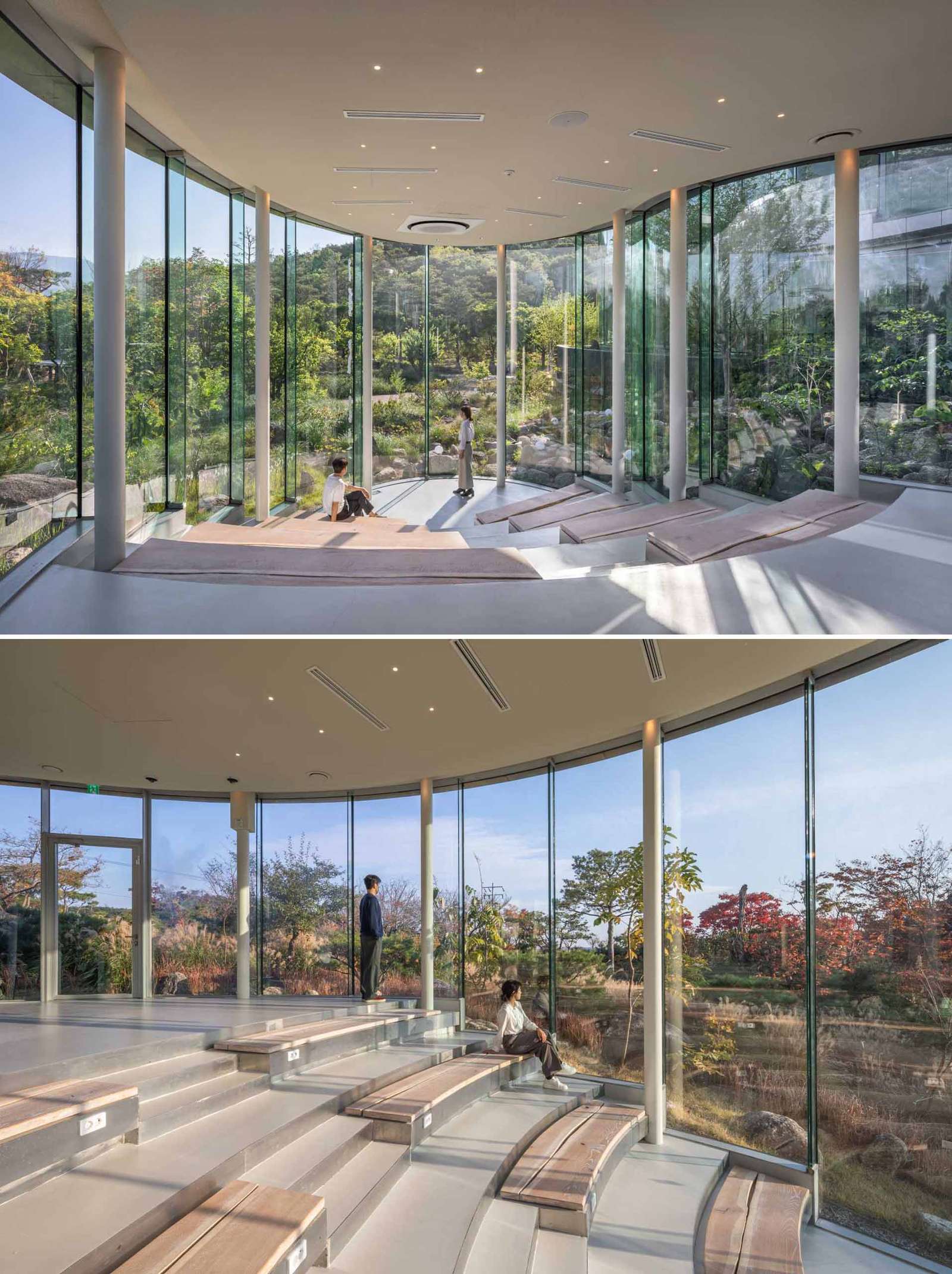 A modern cafe in South Korea, with social spaces and a green roof, was inspired by a walk in the forest.