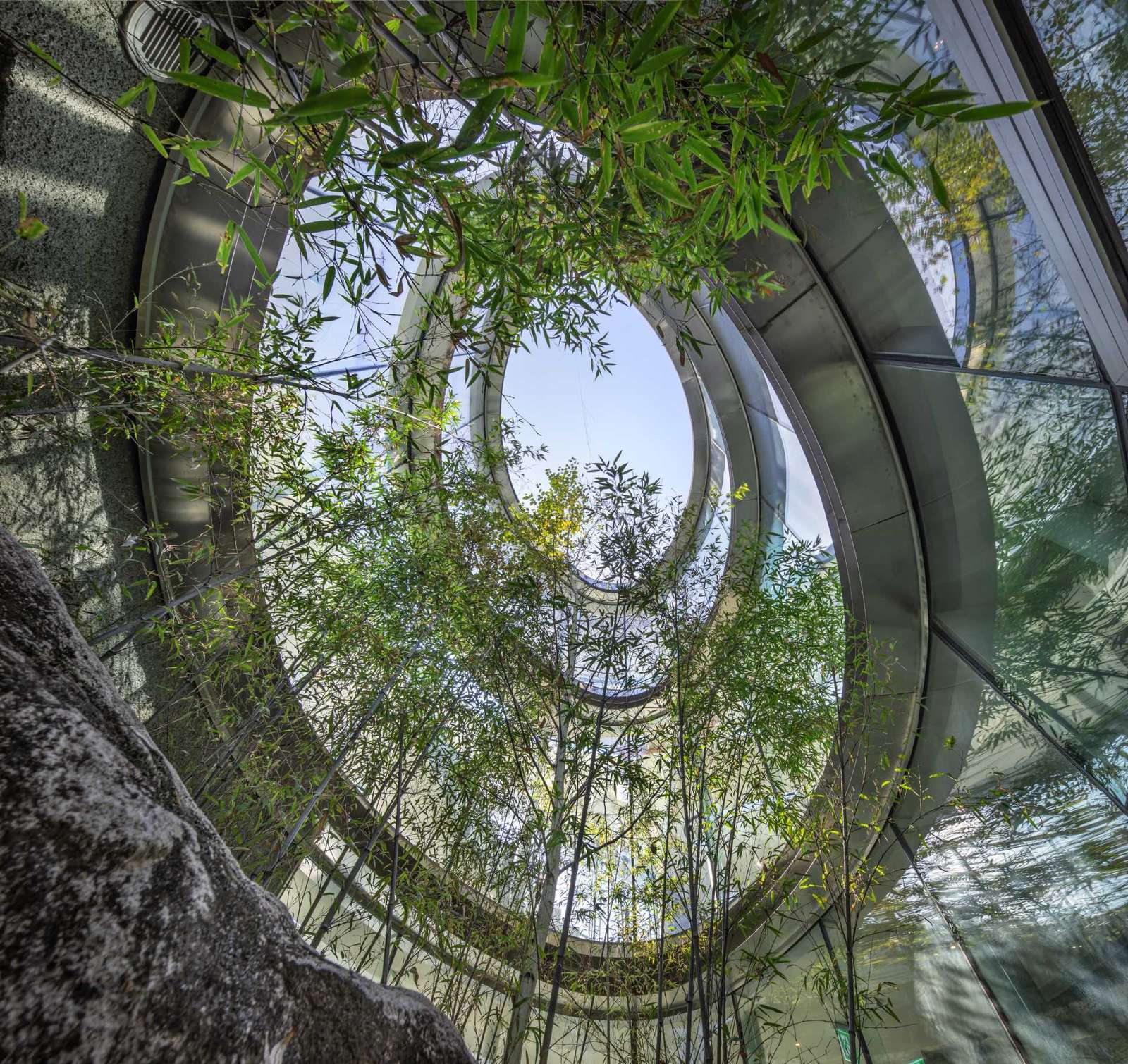 A modern cafe in South Korea, with social spaces and a green roof, was inspired by a walk in the forest.