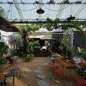 O Plant-based Thao Dien Cafe / xưởng xép - Exterior Photography, Courtyard, Chair