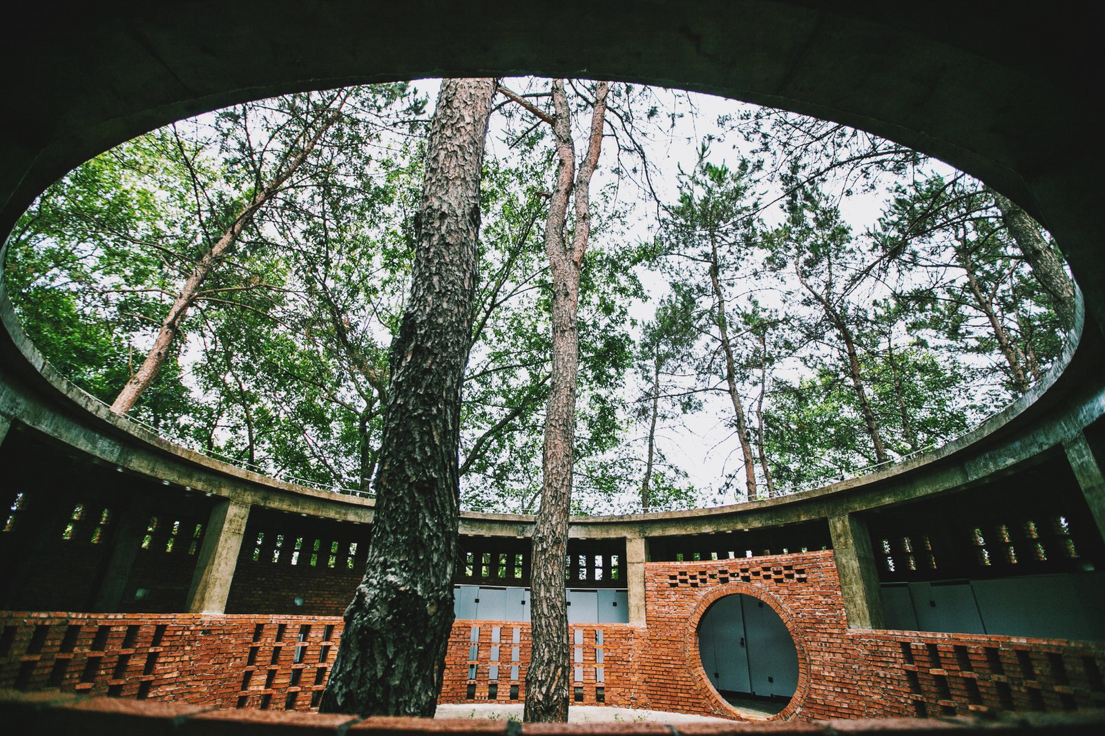 The Toilets among the Trees_02-architizer