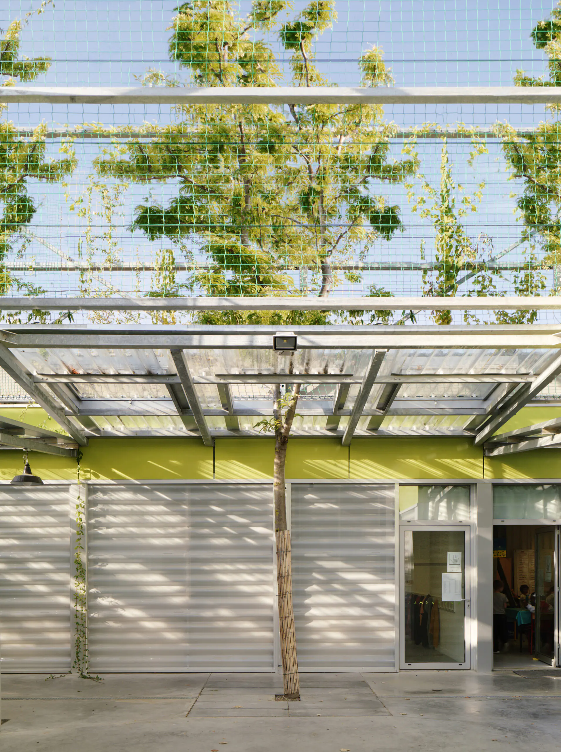 Trees, Time, Architecture