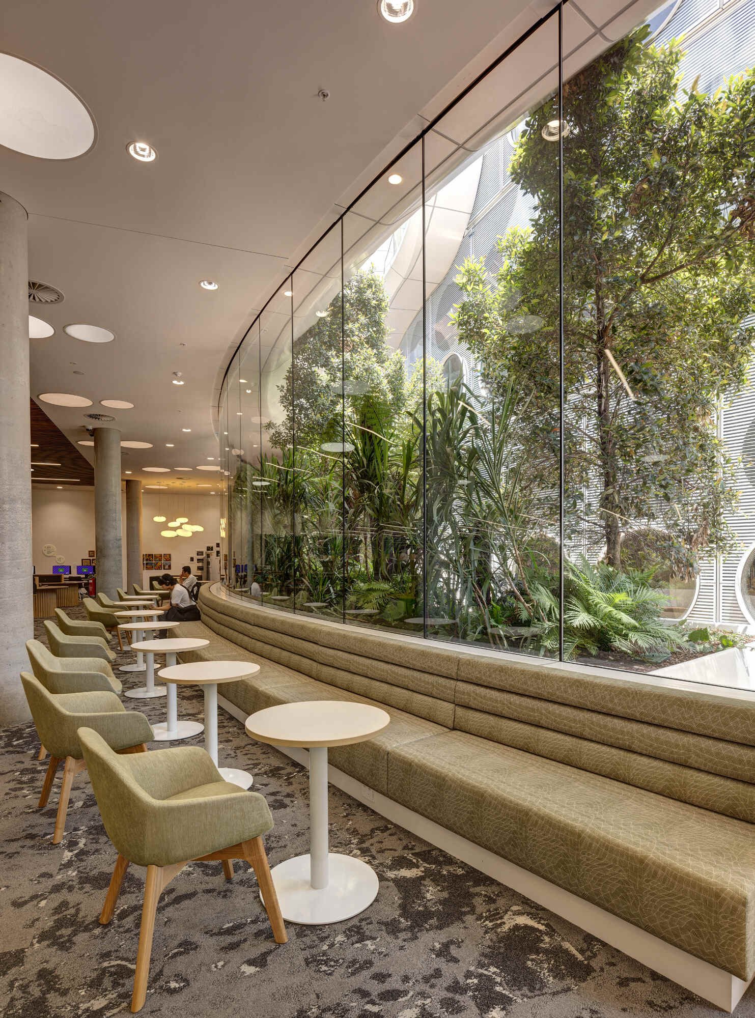 The lush gully courtyard in this library provides a biophilic space to support quiet learning and reading.