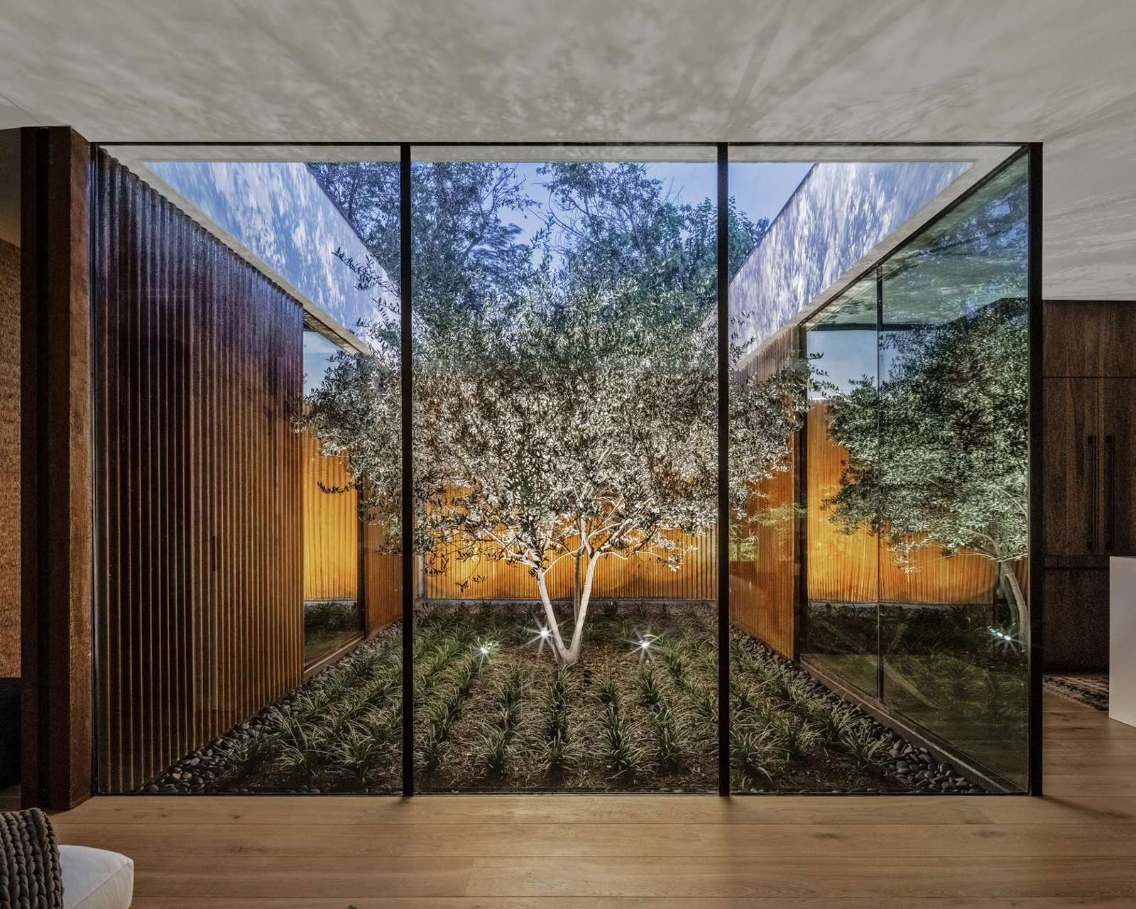 This serene courtyard anchors the home with a sculptural olive tree framed by floor-to-ceiling glass. Natural light floods the kitchen and living spaces while rusted steel cladding brings warmth and texture to the modern design.