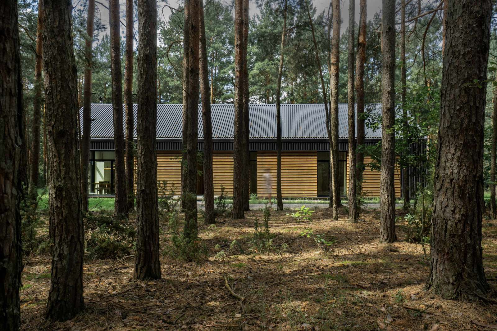 The facade of this modern home is clad in black metal, creating a striking and contemporary appearance, while wood accents add warmth and a natural touch to the exterior.