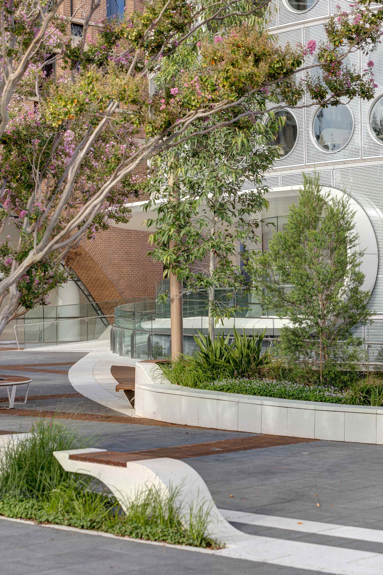 The timber-decked gathering garden is shaded by local eucalypts, has integrated seating, and a sunken courtyard that offers a space for small group settings.