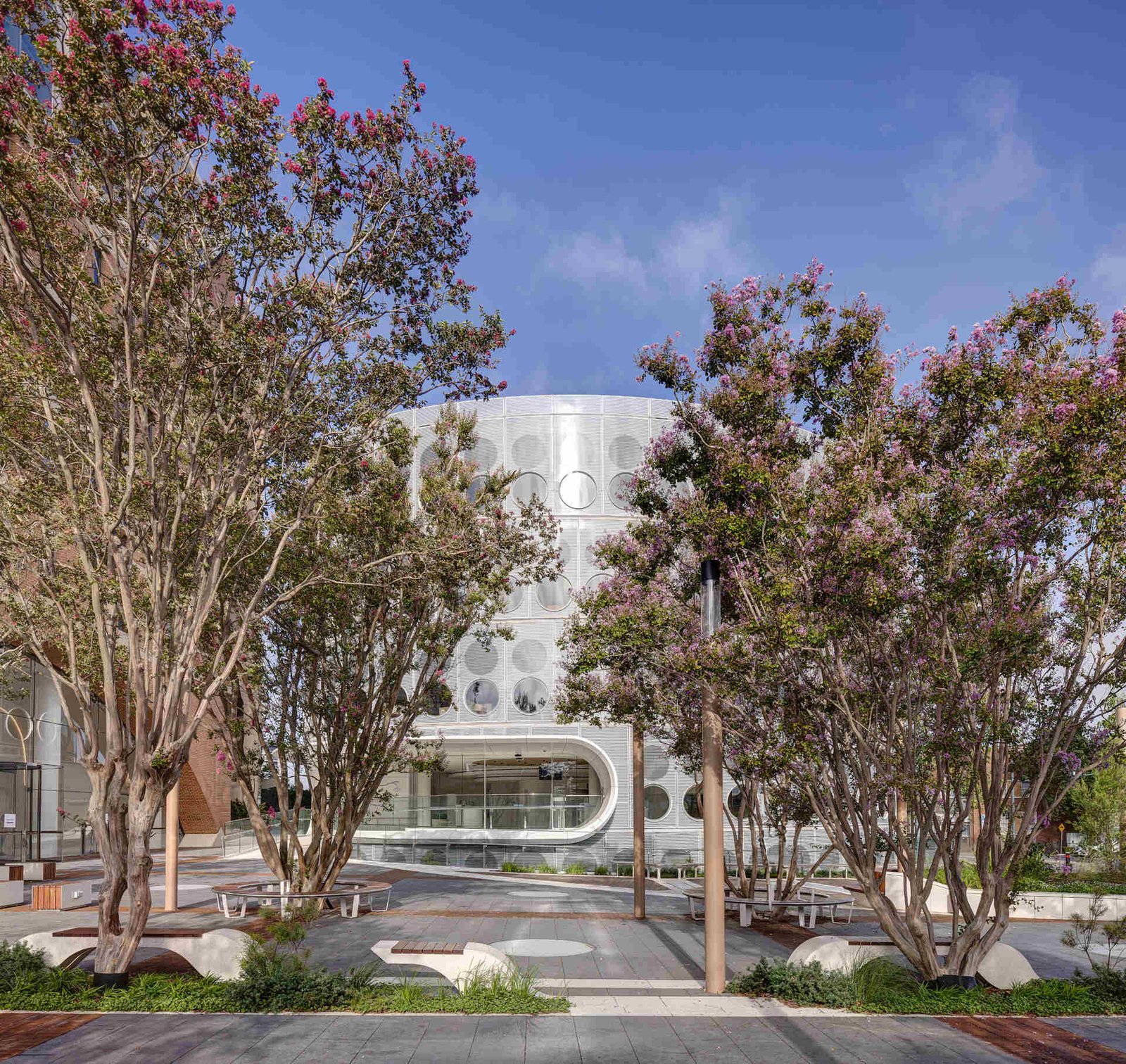 The library is wrapped by a gathering garden and courtyard, with mature deciduous trees in the plaza provide summer canopy cover.