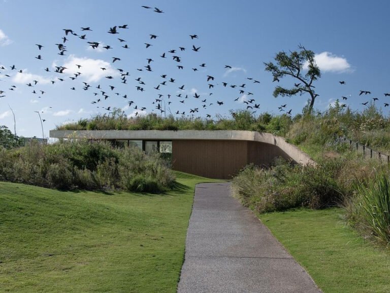 This concrete shell of this modern club house does double duty: it acts as both the building’s structure and surface, minimizing visual clutter and material use. The result is a continuous architectural form that feels quiet yet confident, merging seamlessly with its environment while inviting people to explore, gather, and linger.