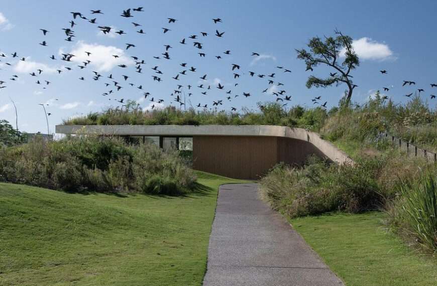 This concrete shell of this modern club house does double duty: it acts as both the building’s structure and surface, minimizing visual clutter and material use. The result is a continuous architectural form that feels quiet yet confident, merging seamlessly with its environment while inviting people to explore, gather, and linger.