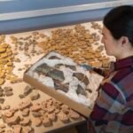 a researcher works on arranging fragments of a Roman fresco