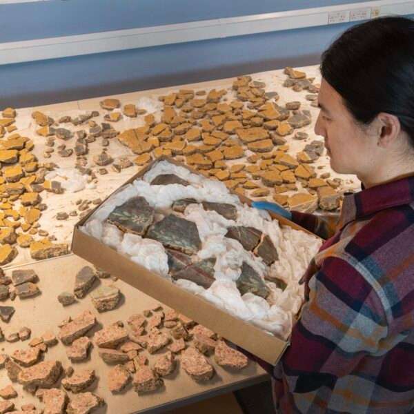 a researcher works on arranging fragments of a Roman fresco