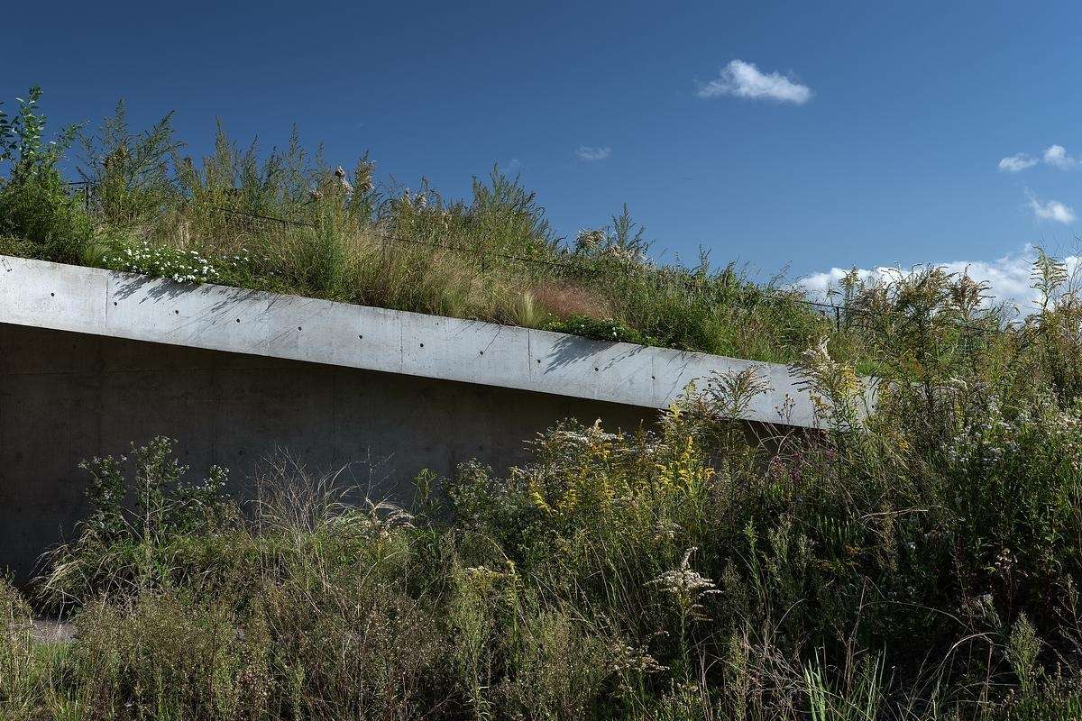 This clubhouse green roof is made up of native plantings that root the building in its context. The plant palette is hardy and low-maintenance, selected to thrive in the region’s climate while offering seasonal variety. As the vegetation matures, the line between roof and garden becomes even blurrier, reinforcing the project's low-impact, land-first philosophy. Where most roofs are treated as leftovers, this one is the centerpiece, a living surface that invites engagement from every angle.