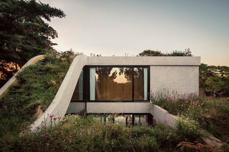 Houses in Argentina: Green Roofs That Blend Architecture and Landscape - Image 1 of 19