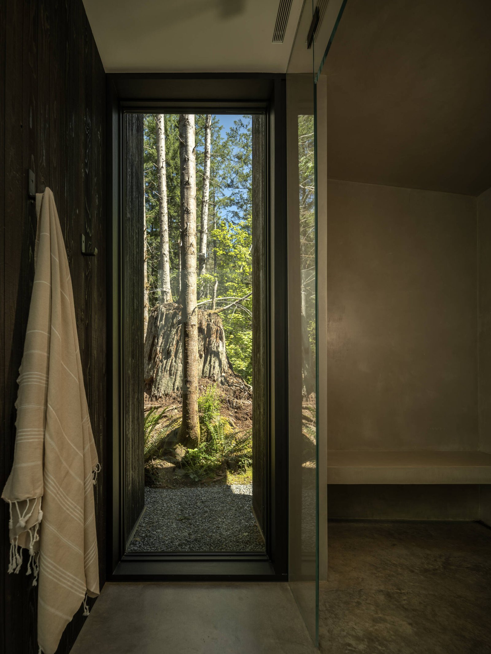 The primary bathroom finds quiet privacy behind an old-growth stump, making the daily act of bathing a moment of intimacy with the forest. Its placement invites occupants to observe the subtle changes in moss, bark, and filtered light, turning a simple ritual into a sensory connection with the land.