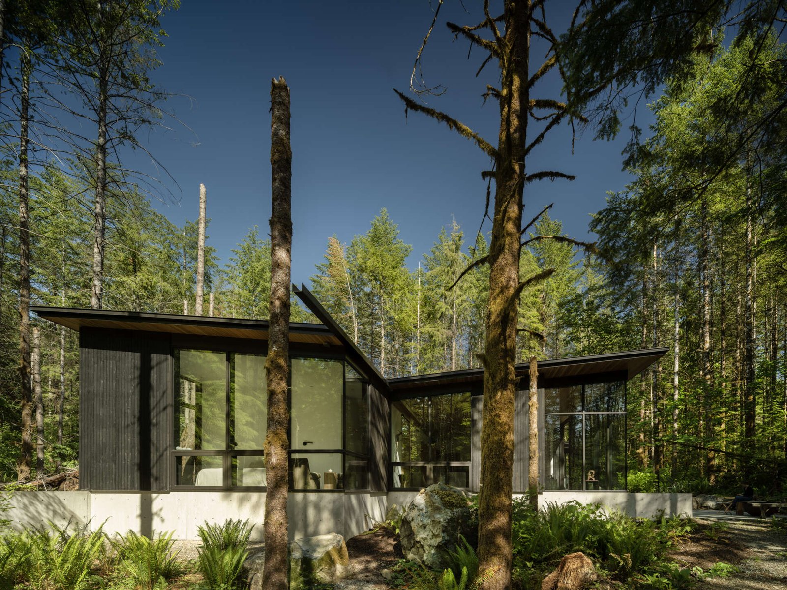 A home designed to follow the land, not alter it. Forest Pavilion preserves the contours of the Pacific Northwest forest, with minimal site impact and a rain-friendly roof that turns weather into a design feature.