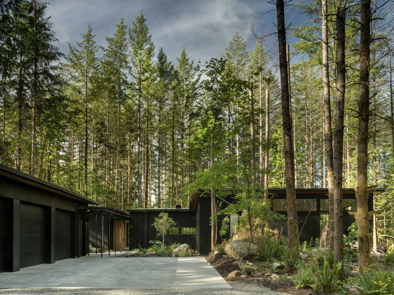 A home designed to follow the land, not alter it. Forest Pavilion preserves the contours of the Pacific Northwest forest, with minimal site impact and a rain-friendly roof that turns weather into a design feature.