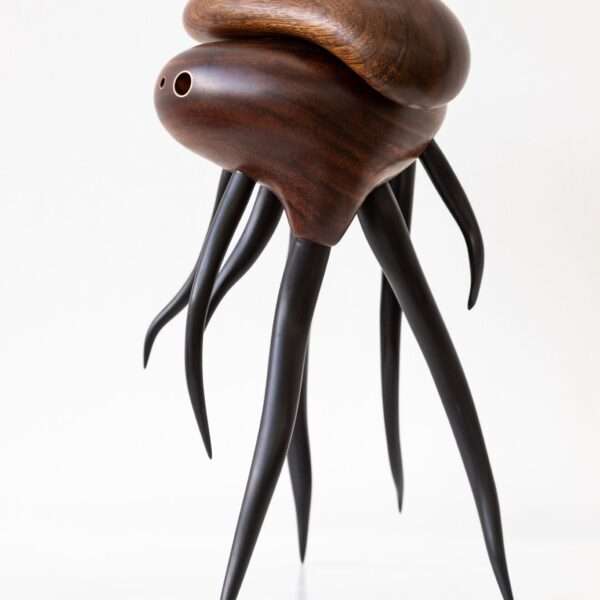 a wooden sculpture by Donald Wasswa with an abstract, sea creature-like form with long tentacles