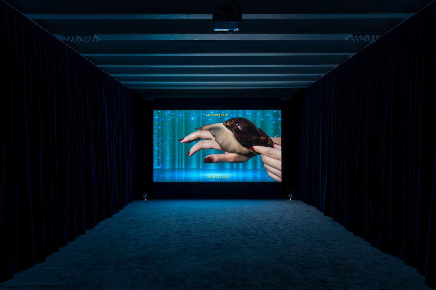 Sanatorium gallery, Galata