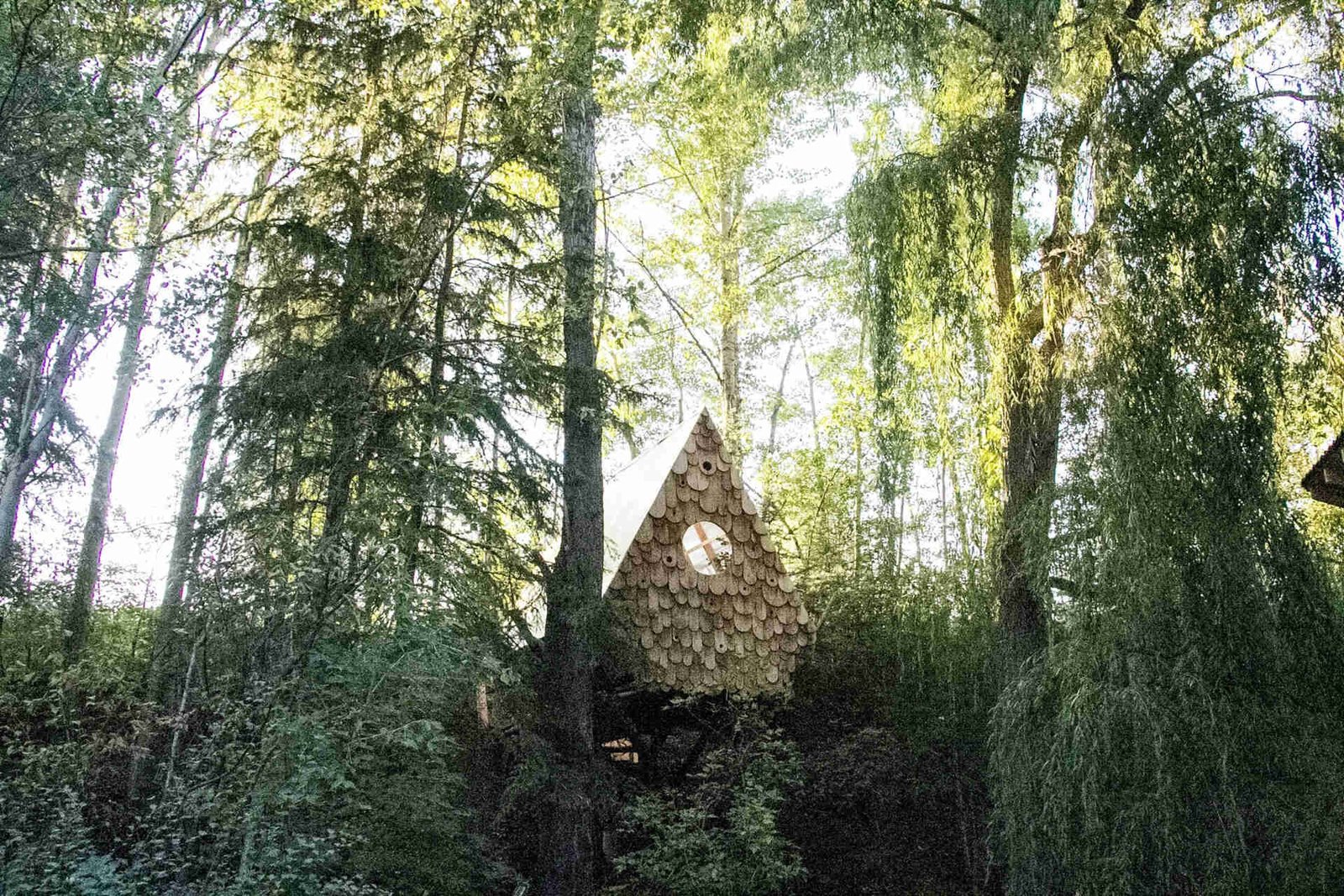 A tiny treehouse in the forests of Canada that’s also home to local birds. Designed by Studio North, the Birdhut blends into the canopy with its whimsical design, reclaimed materials, and built-in birdhouses that let humans and wildlife share the same space.