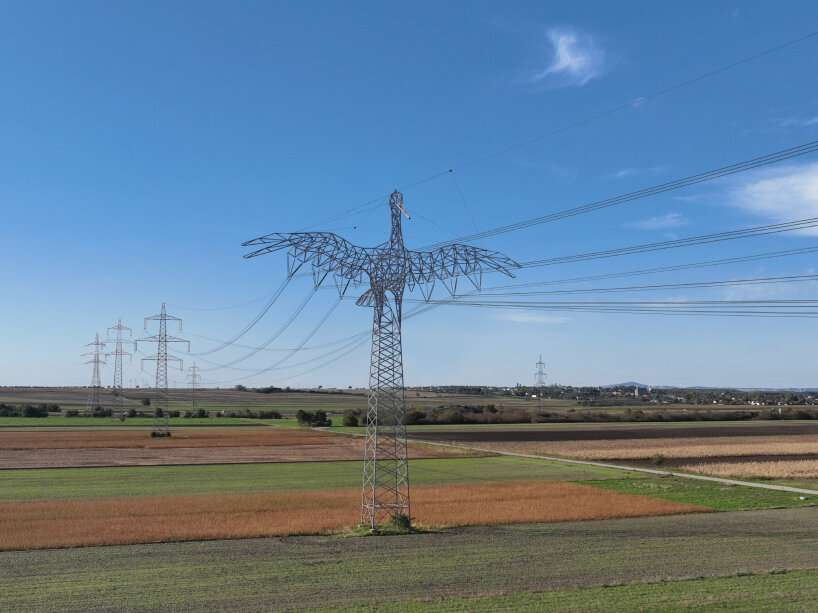 power lines animal sculptures