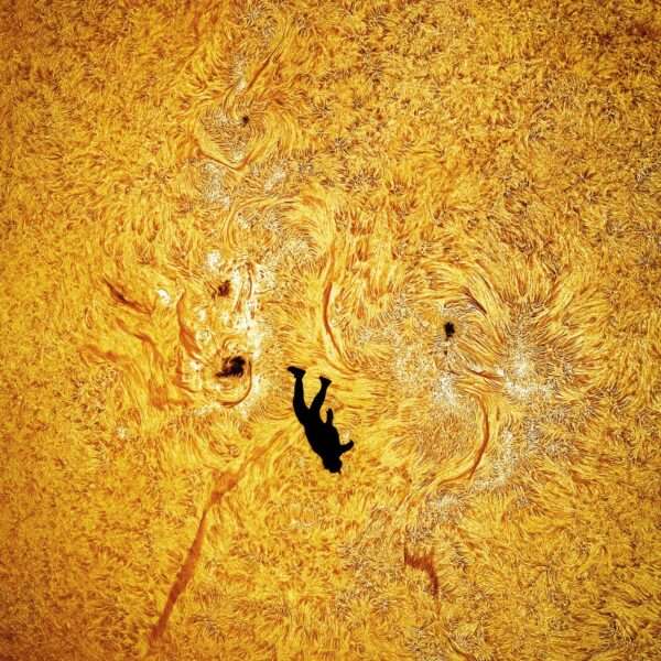 a detail image by Andrew McCarthy of a skydiver falling in front of the sun
