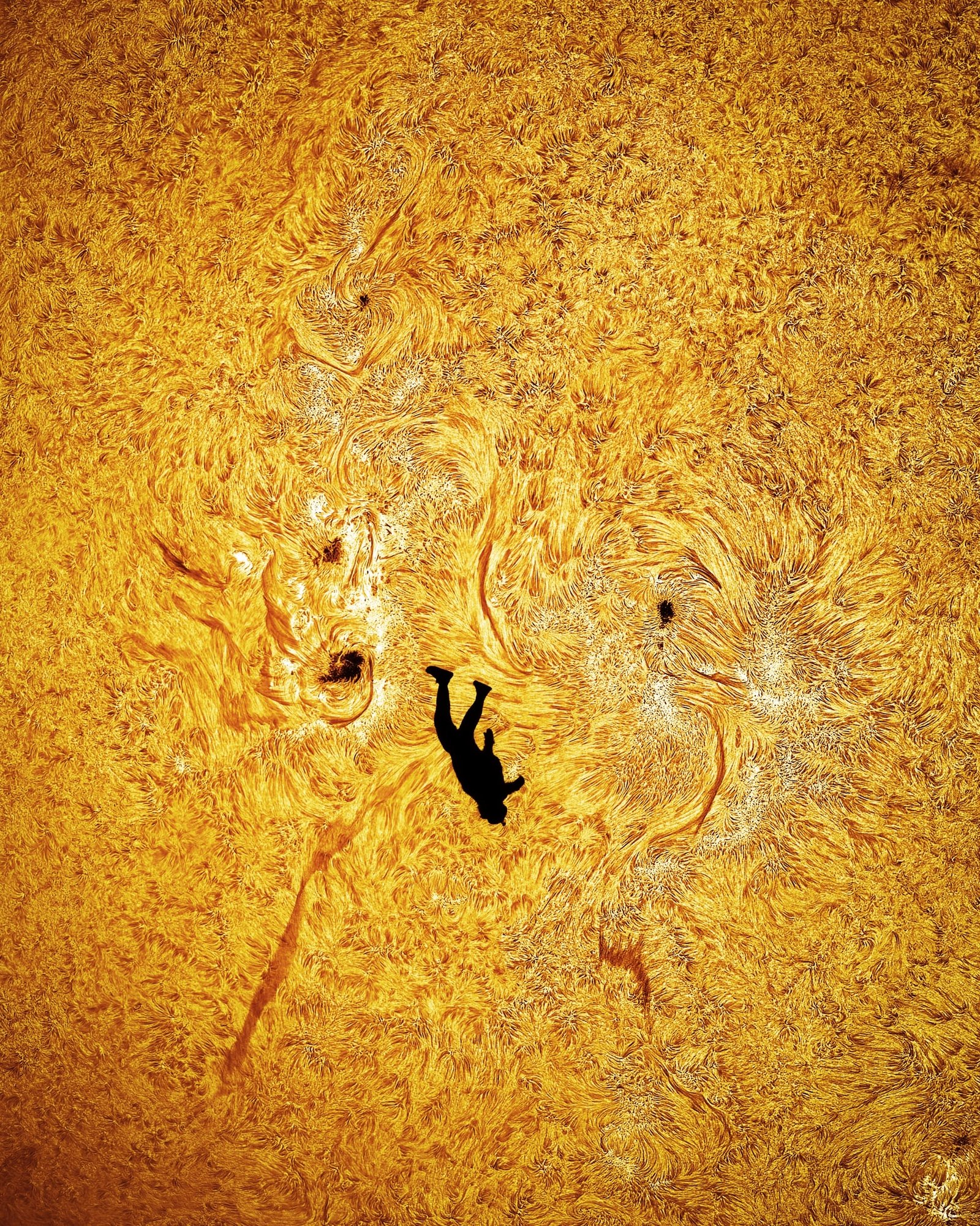 a detail image by Andrew McCarthy of a skydiver falling in front of the sun